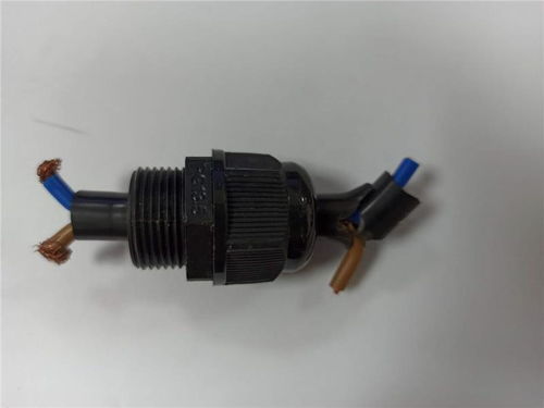 密封防水葛蘭頭的應用及其在國深電子氣體儀表中的重要性